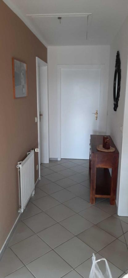 Ferienwohnung Bluetenblick Bachenbrock Экстерьер фото
